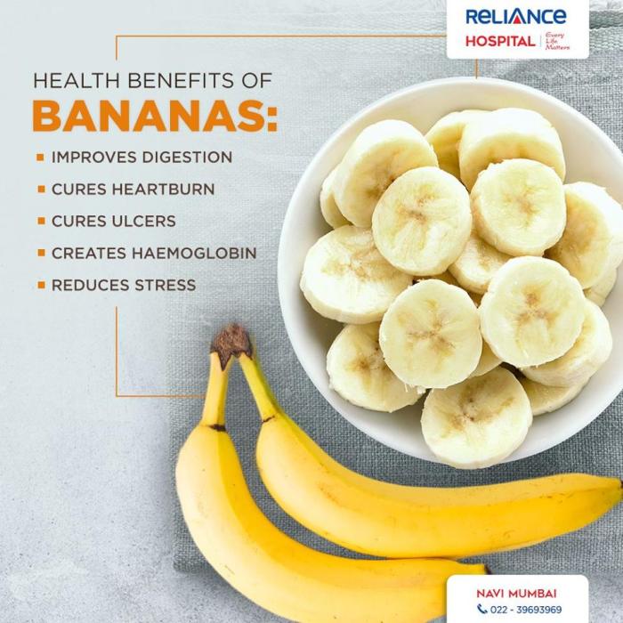 Bananas banana infographic