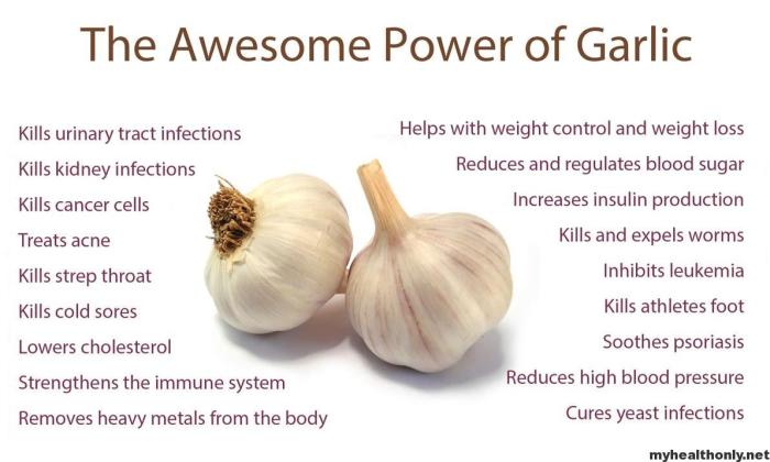 Garlic benefits health eating stomach empty uses raw skin amazing eat hair awesome power has healing plant if its effects