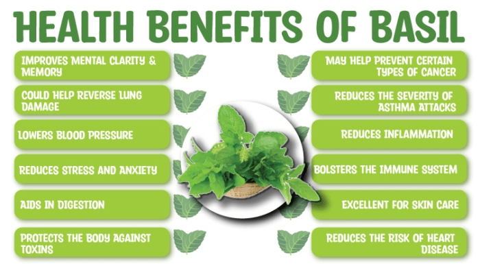 Manfaat daun kemangi untuk kesehatan