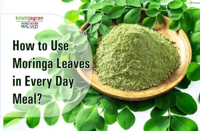 Moringa benefits health leaves plant oleifera eating noteworthy most
