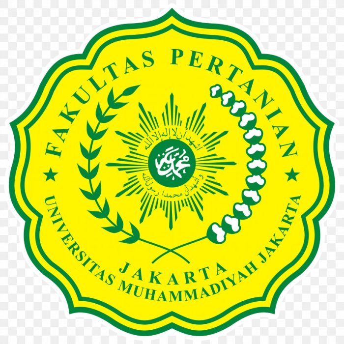 Muhammadiyah universitas palembang